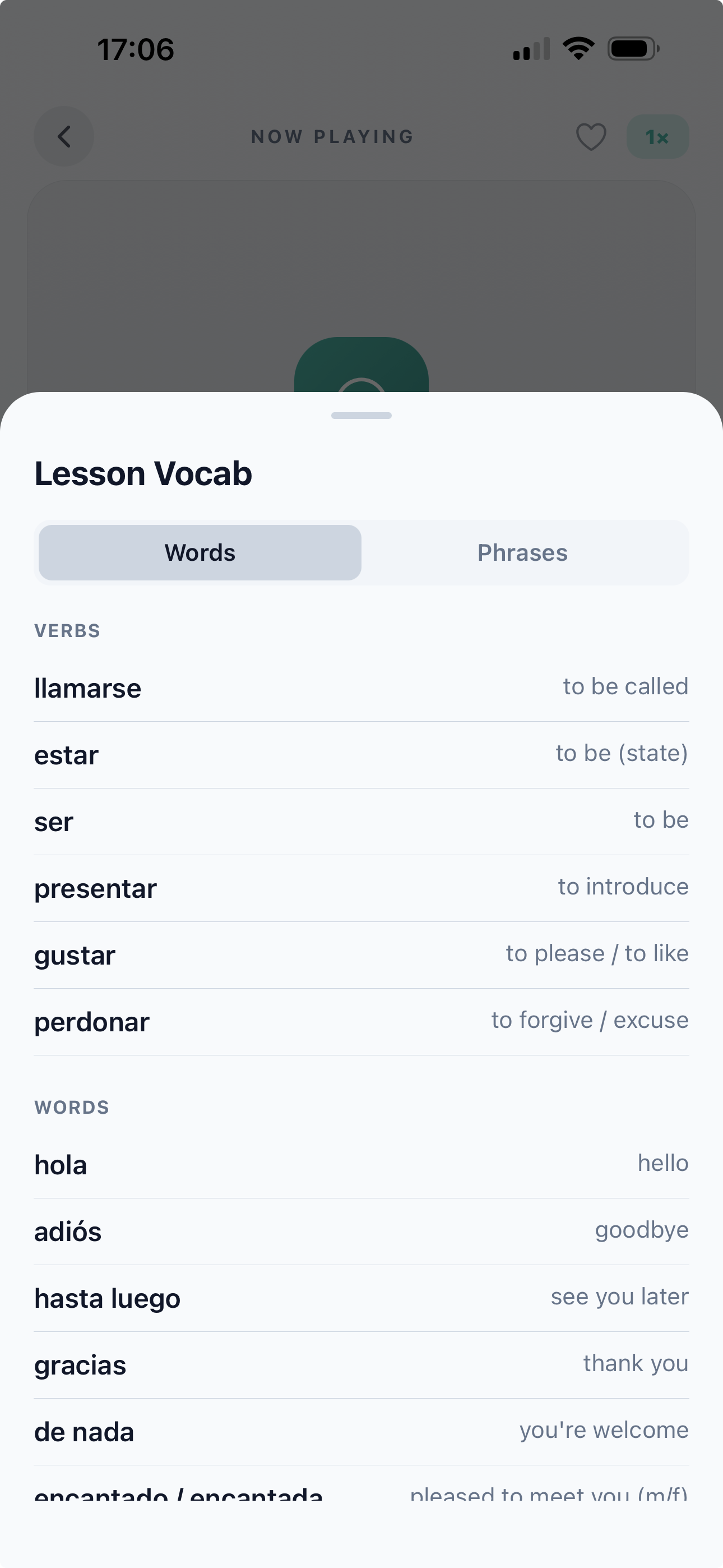 Lesson vocab list showing words and phrases with translations